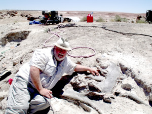 Joe Kchodl, PaleoJoe, with dinosaur bones he uncovered in Utah.  The paleontologist has dug up the bones of a camarasaurus and an apatosaurus at the site. 