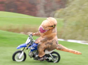 Dino on the bike