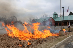 IMG_0752 control burn at Brandon library Feb 22 17