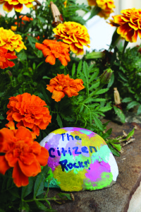 a painted rock outside of the citizen newspaper