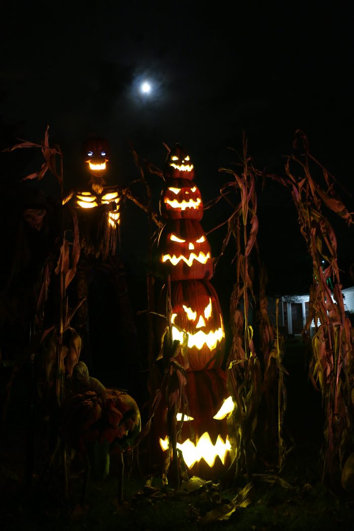 Jack-o’- lanterns moonlight