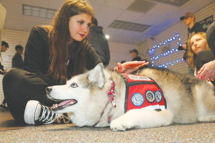 Go Team Therapy Dogs, offer a paw to make a difference in classrooms